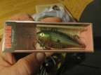 Rapala Risto Rap 5 RR5 TSD Tennessee Shad New in Package