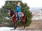 Available on [url removed] - Missouri Foxtrotter - Trails, Gaited, Ranch work