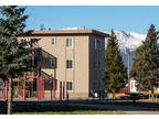 1531 Mt. Lincoln Drive East Unit Leadville, CO