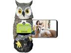 Ugold Owl Home Owl with Rotatable Head Night Vision 2-Way