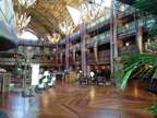 Stay at Disney's Animal Kingdom Lodge in Jambo House for 5