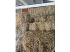 Hay: Square Bails $7 each
