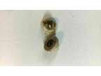 Miele microwave oven roller wheels RJ138..