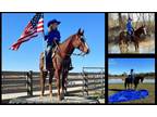 Available on [url removed] - American Quarter Horse - Trail Riding, Sorting