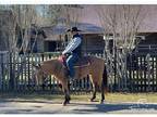 Quarter Horse Ranch Trail