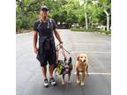 Thousand Oaks Dog Walker Searching for Being Hired in and around Thousand Oaks