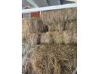 Hay: Square Bails $7 each - Opportunity!