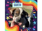 Adopt Garth a Tan/Yellow/Fawn - with Black Hound (Unknown Type) / Shepherd