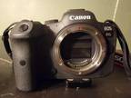 Canon EOS R6 Full-Frame camera - Opportunity