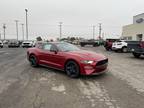 2022 Ford Mustang EcoBoost Andrews, TX