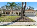 4212 Autumn Leaves Dr, Tampa, FL 33624