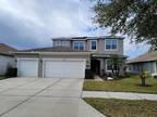 19347 Yellow Clover Dr, Tampa, FL 33647