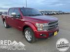 2019 Ford F-150 XL Dickinson, ND