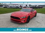 2019 Ford Mustang GT Monticello, IL