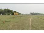 Dtcp Approved Plots for Sale at Thaneerkulam