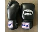 Windy BGVH Boxing Gloves 14oz Black hook and loop closure