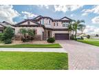 813 Terra Vista St, Brandon, FL 33511