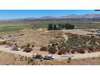 Land for Sale by owner in Doyle, CA