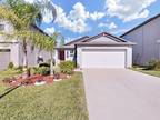 10222 Cool Waterlily Ave, Riverview, FL 33578