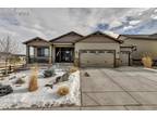 2311 Pelican Bay Dr, Monument, CO 80132