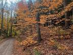 44 acre lot on camp road Boonville, NY