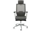 Flexispot Back Support Ergonomic Office Chair, Model: OC13