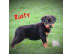 Rusty