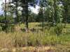 Land for Sale by owner in Columbiana, AL