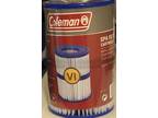Coleman Hot Tub Spa (Twin Pack) Type VI Filter Cartridge