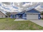 11653 fox creek dr Tampa, FL -