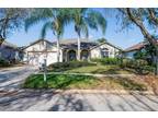 9420 Hunters Pond Dr, Tampa, FL 33647