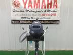 Yamaha F4 Portable 15 in. Tiller MS