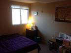 1 bed/1.5 bath in Brighton