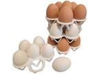 4 Pack Rite Farm Products 6 Chicken Egg Poly Stacking Trays