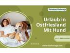 Urlaub in Ostfriesland Mit Hund Ferienhaus Mackeriege