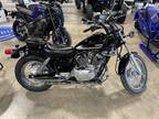 2023 Yamaha V-Star 250 Motorcycle for Sale