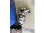 Catalytic Converter/Exhaust Manifold