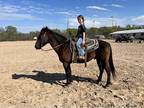 Kids rodeo horseheel horse