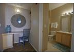 1 Bedroom 1 Bath In Longmont CO 80503
