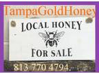 Tampa Local Honey - Opportunity!