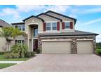 11078 Sundrift Dr, Tampa, FL 33647