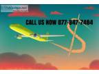 Holy day special and very cheep price Flight tickets