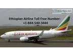 Ethiopian Airlines Flight for Los Angeles to Addis Ababa