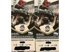 Indy Tickets-Paddock Press Penthouse-