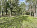 Plot For Sale In Beckville, Texas