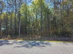 63 acres off of pinewood rd Sumter, SC