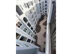 300 E South St #6009, Orlando, FL 32801