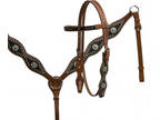 Showman Black Cowhide Headstall Breast Collar Set with Berry Conchos 12683