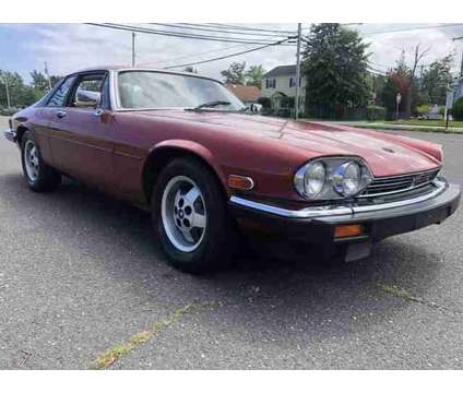 1984 jaguar xj for sale is a Red 1984 Jaguar XJ Car for Sale in Hazlet NJ