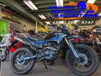 2024 Daix Hawk Dirt Bike 250cc - Daytona Beach,FL